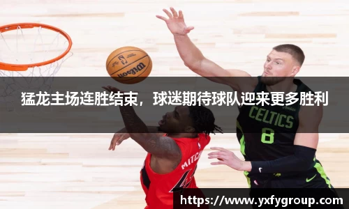 猛龙主场连胜结束，球迷期待球队迎来更多胜利