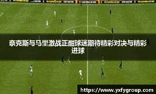奈克斯与马里激战正酣球迷期待精彩对决与精彩进球