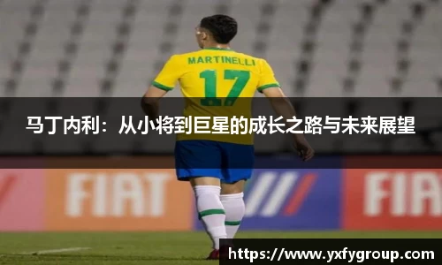 马丁内利：从小将到巨星的成长之路与未来展望